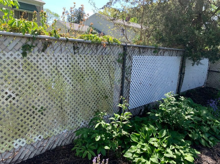 Wooden fence before and after power washing