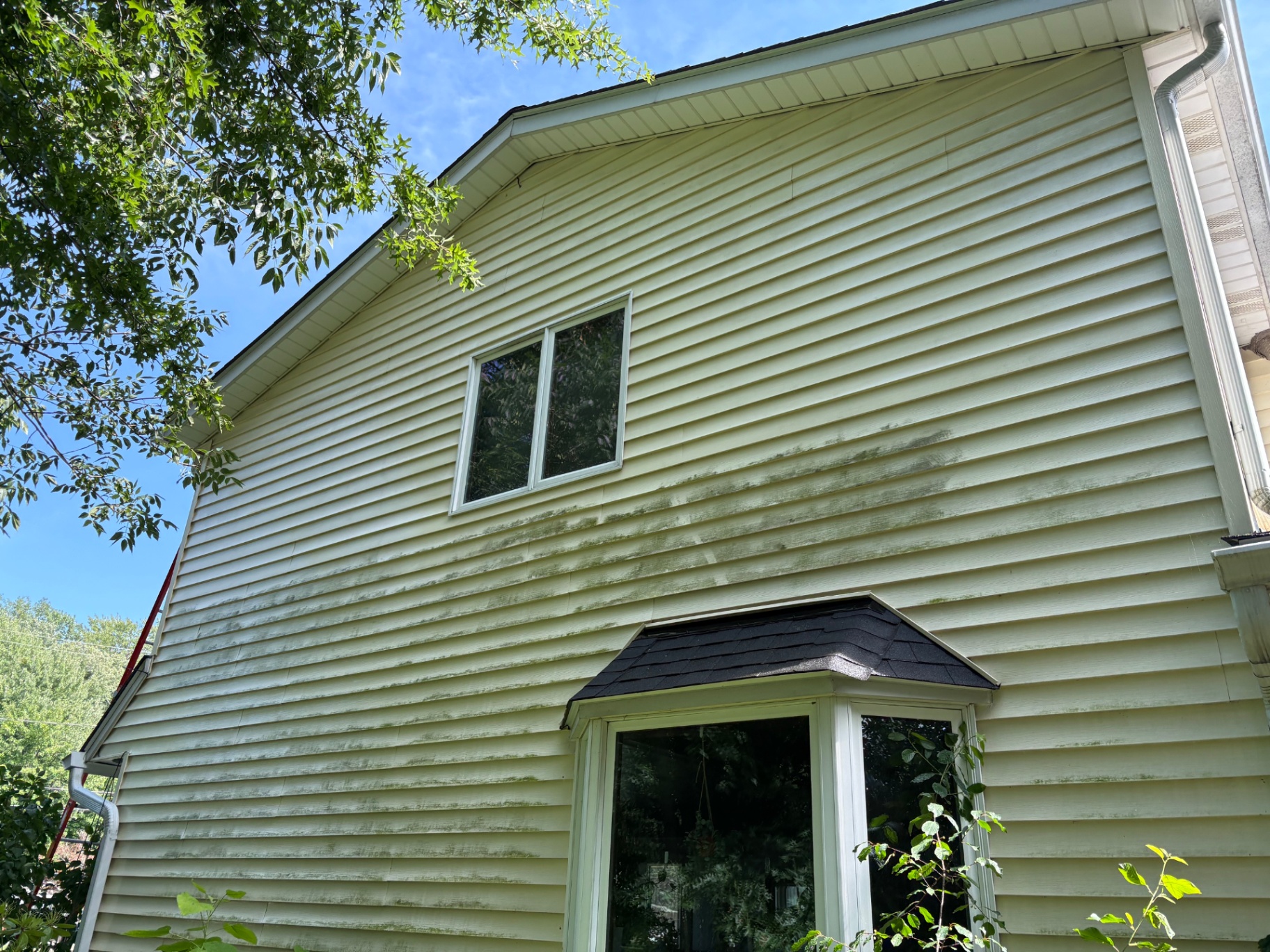 How Shade Ruins Your Siding — And What a Pressure Wash Really Does About It