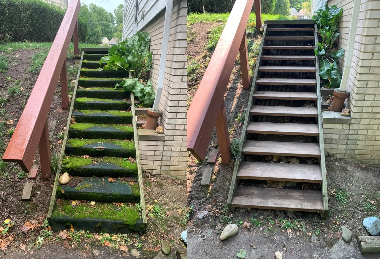 Moss-covered wooden back-door stairs before and after rot repair in Eastlake, Ohio